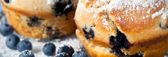 Blueberry Muffins with blueberry berries